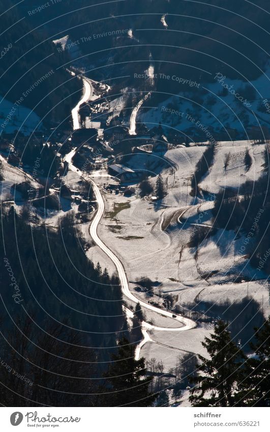 Albino-Wurm Umwelt Natur Landschaft Sonnenlicht Schönes Wetter Eis Frost Schnee Berge u. Gebirge Schlucht Tal weiß Reflexion & Spiegelung Beleuchtung Gegenlicht
