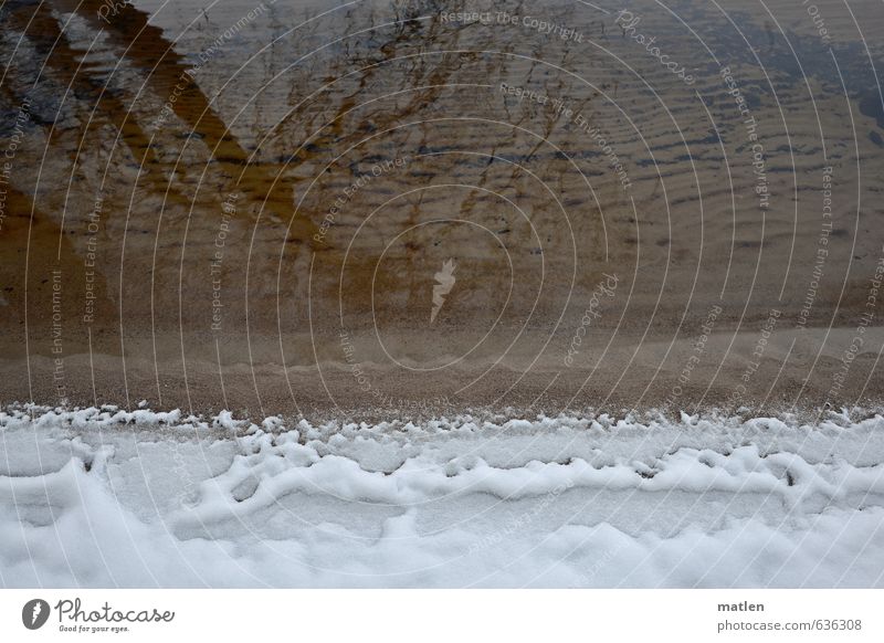 Hermelinkragen Landschaft Sand Wasser Winter Eis Frost Schnee Baum Küste Seeufer Strand braun weiß frieren Reflexion & Spiegelung Farbfoto Gedeckte Farben