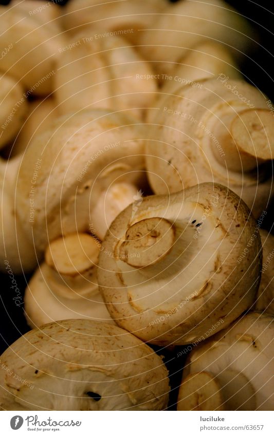 Champignons Lebensmittel Pilz innenaufnahme ohne blitz