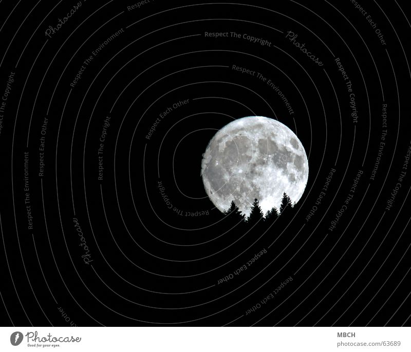 Mond 1 Baum Tanne Beleuchtung Muster Vulkankrater untergehen hell