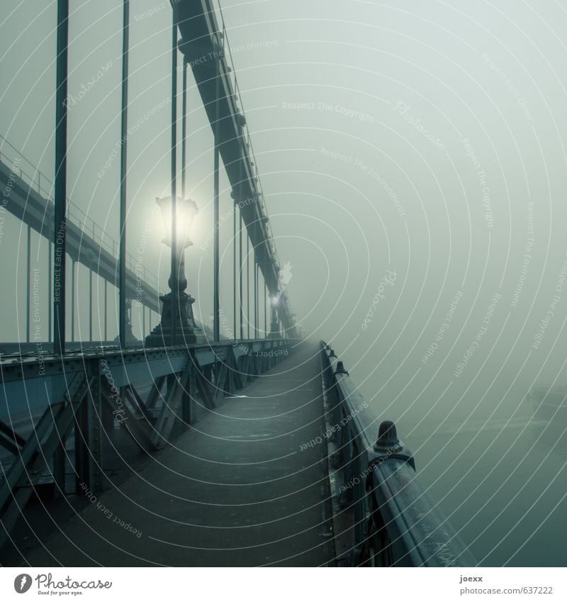 Heimweg Herbst schlechtes Wetter Nebel Brücke Wege & Pfade alt Unendlichkeit grau grün schwarz weiß ruhig Trauer Tod Letzter Weg Kettenbrücke Straßenbeleuchtung