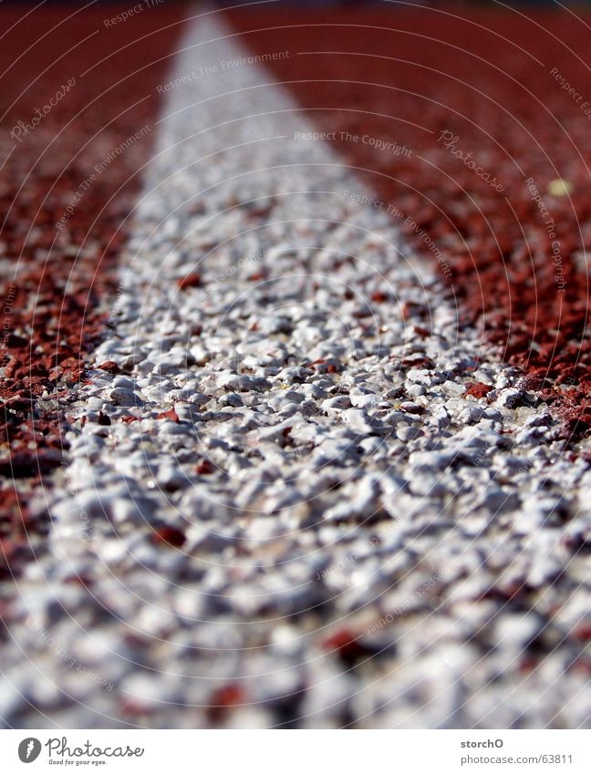 Wo muss ich laufen? Thüringen Gotha rot weiß Top 100 Meter Lauf Staffellauf Weitsprung Sportfest Sommer frei Eisenbahn Kurve
