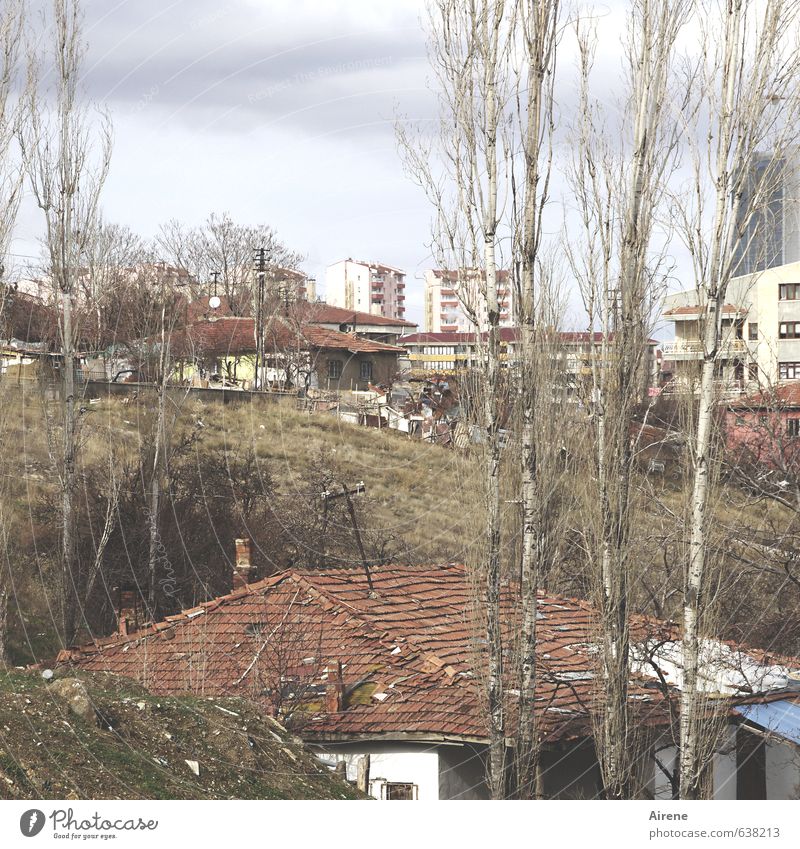 Hanglage Pflanze Baum Pappeln Ankara Türkei Anatolien Stadt Hauptstadt Stadtrand Menschenleer Haus Einfamilienhaus Wohnblock Wohnhaus Dach alt einfach groß