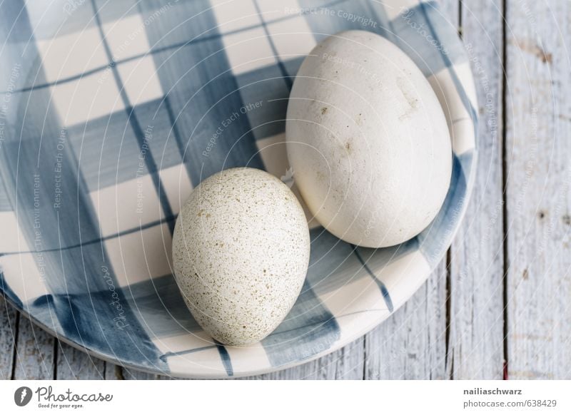 Goose and Duck Egg Lebensmittel ei Ernährung Frühstück Bioprodukte Essen Feste & Feiern Ostern Dekoration & Verzierung Teller Holz Glas Linie liegen authentisch