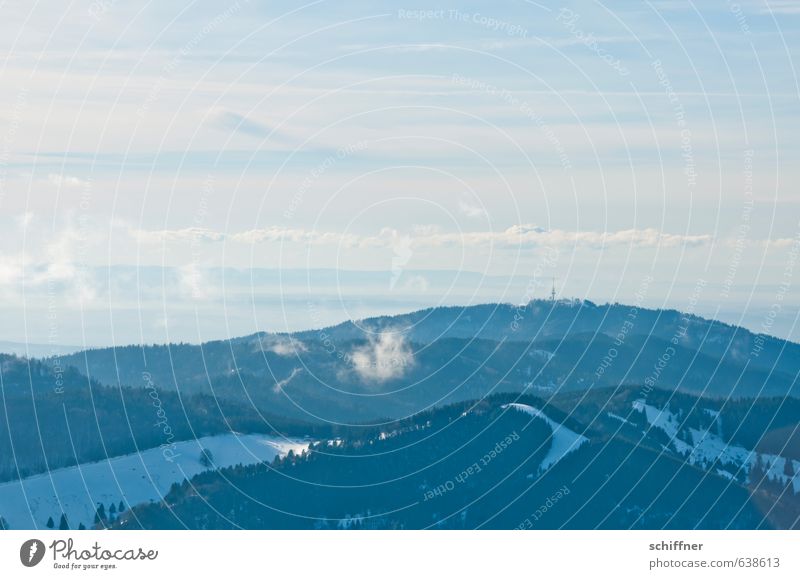 Alpenkette Natur Landschaft Schönes Wetter Eis Frost Schnee Wald Hügel Berge u. Gebirge Gipfel Schneebedeckte Gipfel blau weiß Ferne Aussicht Fensterblick
