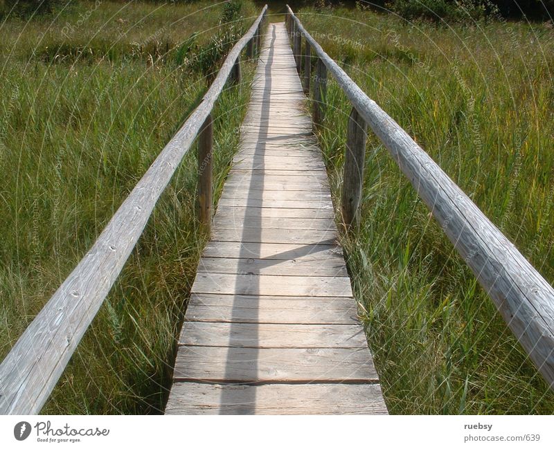 Der Weg ist das Ziel Holz Wiese Dinge Wege & Pfade Brücke Natur