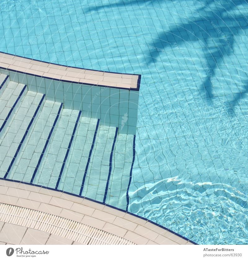 The invisible man Schwimmbad Tunesien Palme Geometrie Ferien & Urlaub & Reisen Freizeit & Hobby Vogelperspektive Außenaufnahme blau Wasser Grenze Schatten