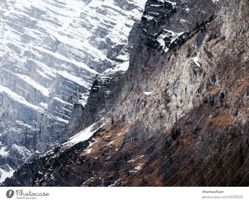 gnadenlos Expedition Winter Schnee Berge u. Gebirge Natur Landschaft Eis Frost Moos Felsen Alpen Schneebedeckte Gipfel Schlucht bedrohlich dunkel eckig