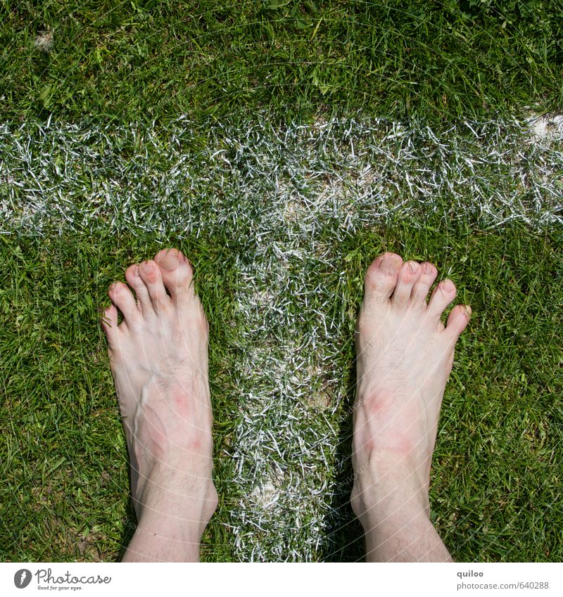 Start Sport Leichtathletik Haut Beine Fuß Zehen 1 Mensch Gras Wiese Schriftzeichen Hinweisschild Warnschild Streifen Fitness stehen warten nackt sportlich grün