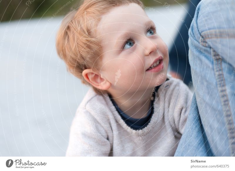 258 [selbstvergessen] Kind Junge Familie & Verwandtschaft Kindheit Leben 1 Mensch 3-8 Jahre Pullover rothaarig beobachten berühren entdecken Kommunizieren