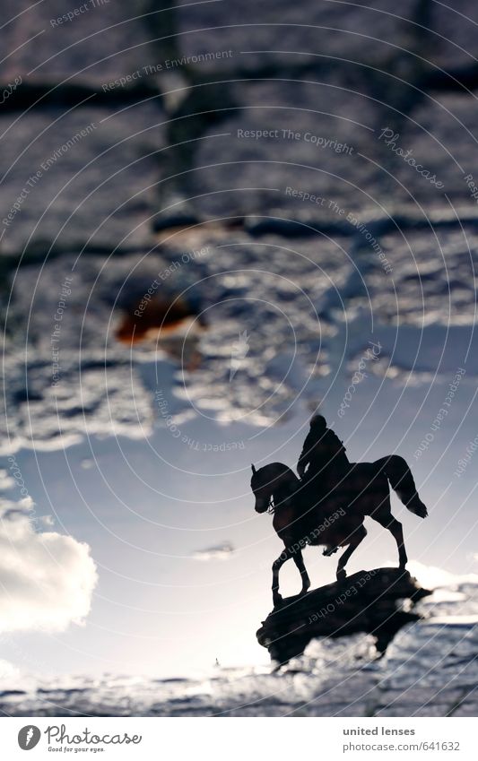 #AK Reiter aus Dresden Kunst ästhetisch Reiterstandbild Reiterfest Barock Zwinger Pferd Pfütze Reflexion & Spiegelung Perspektive entgegengesetzt