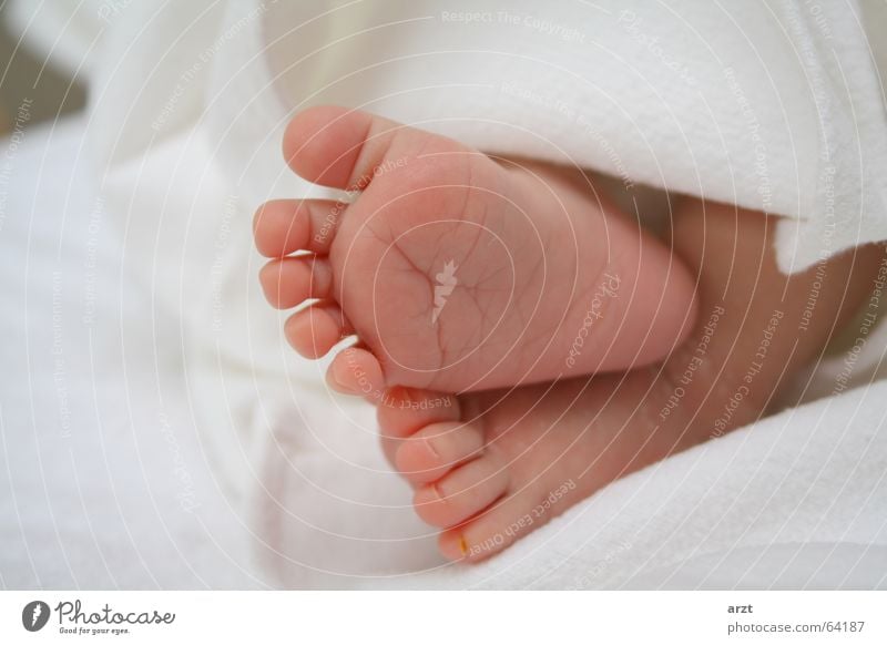 feet Zehen Fußsohle Fußspur Baby klein Mädchen Erholung footprint Decke liegen Barfuß