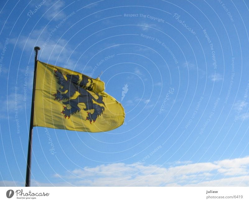 Der flämische Löwe Fahne Flandern Gent Wolken Wappen Dinge Wind Himmel