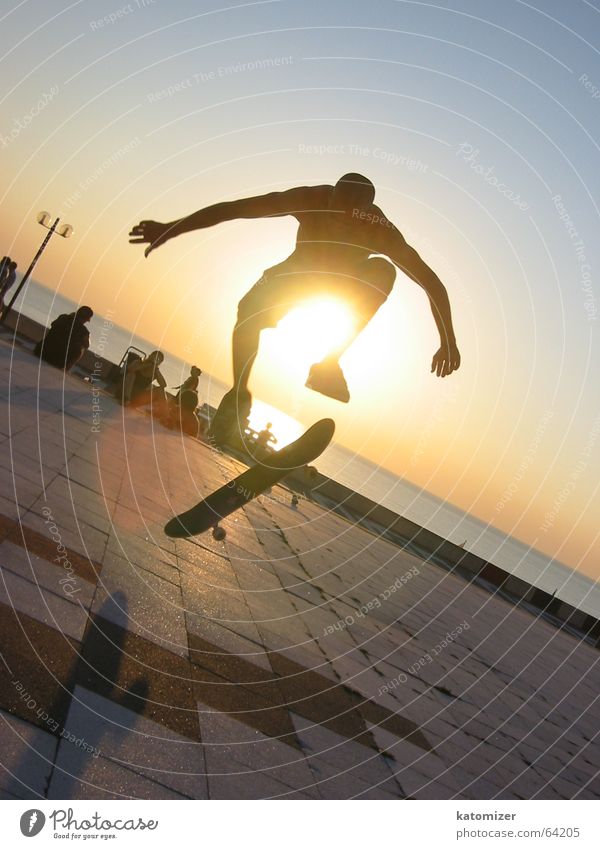 skate or die Sonnenuntergang Mann Skateboarding Sport Aktion Dynamik