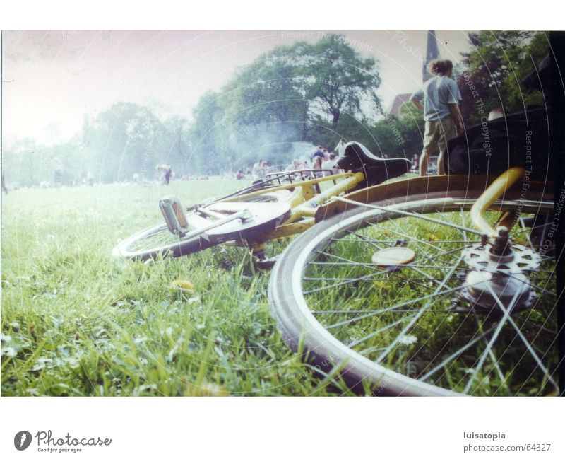 nebelschwaden-fahrrad Fahrrad Wiese Nebel Park grün Leipzig ruhig Zufriedenheit Außenaufnahme Freiheit Traurigkeit