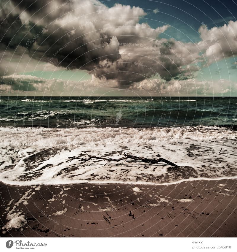 Schaumbad Umwelt Natur Landschaft Urelemente Wasser Himmel Wolken Gewitterwolken Horizont Klima Wetter Schönes Wetter Wind Wellen Küste Strand Ostsee Meer Sand