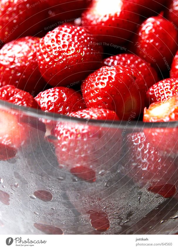 beschlagene Erdbeeren Frucht Ernährung Schalen & Schüsseln Sommer Wassertropfen Glas Coolness Duft frisch kalt lecker saftig süß rot Erfrischung genießen