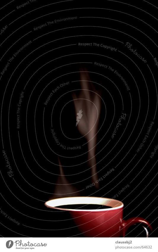 dampfende Kaffee Tasse rot Kraft geschmeidig Rauch Becher schwarz heiß dunkel stark Stillleben Gastronomie schön Wasserdampf sanft elegant Nahaufnahme