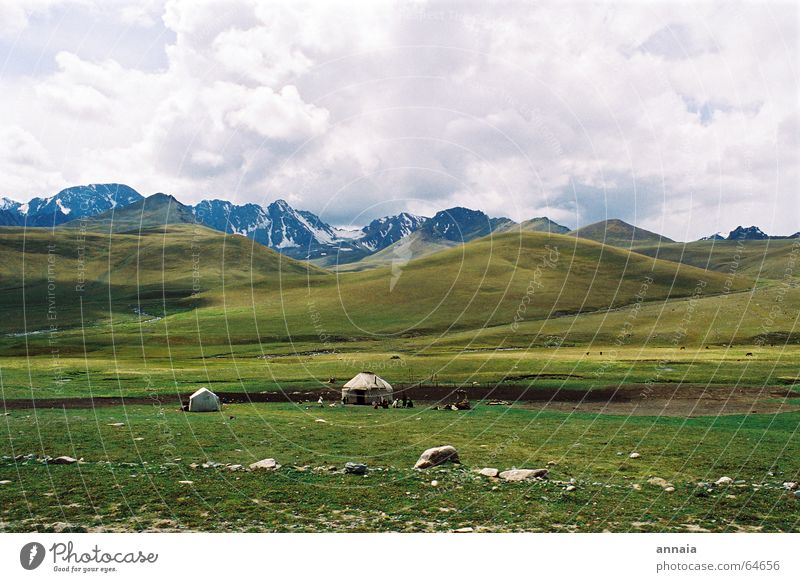 Nomaden Asien Himmel Wolken Steppe Schaf Mongolei Luft einfach Gelassenheit Wiese jurte Landschaft Berge u. Gebirge hills sky Leben Ferne Freiheit Klarheit