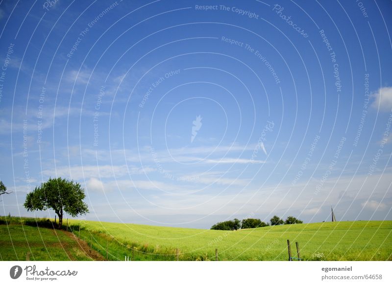 Windows XP mit Baum Feld grün braun Zaun Wolken Frühling Sommer Hügel Wiese Landschaft Himmel Wege & Pfade Amerika