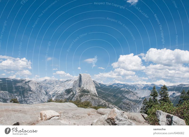 Yosemite National Park Ferien & Urlaub & Reisen Tourismus Ausflug Abenteuer Ferne Freiheit Sommer Sommerurlaub Sonne Berge u. Gebirge wandern Umwelt Natur