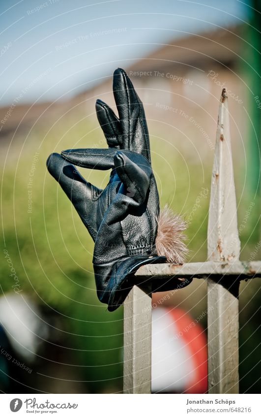 exzellent Lifestyle elegant schwarz Handschuhe Zaunpfahl vergessen Finger zeigen Fundstück Wegrand Edinburgh Schottland gestikulieren spreizen lustig Humor