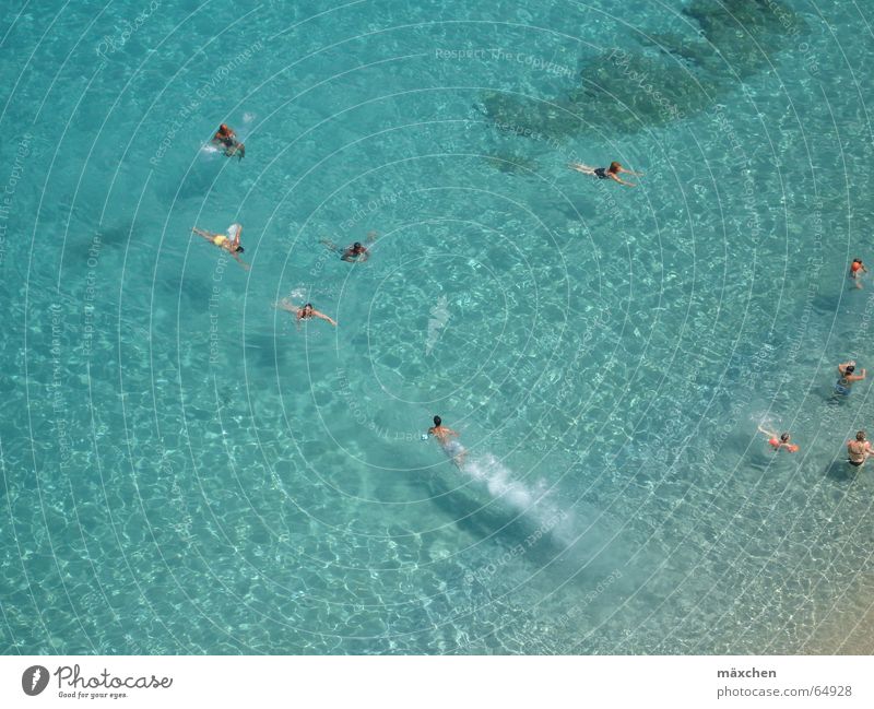 meer 1 Meer türkis Ferien & Urlaub & Reisen Schwimmsportler Italien Wasser Klarheit Schwimmen & Baden