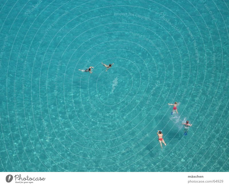 meer 2 Meer türkis Ferien & Urlaub & Reisen Schwimmsportler Italien Wasser Klarheit Schwimmen & Baden
