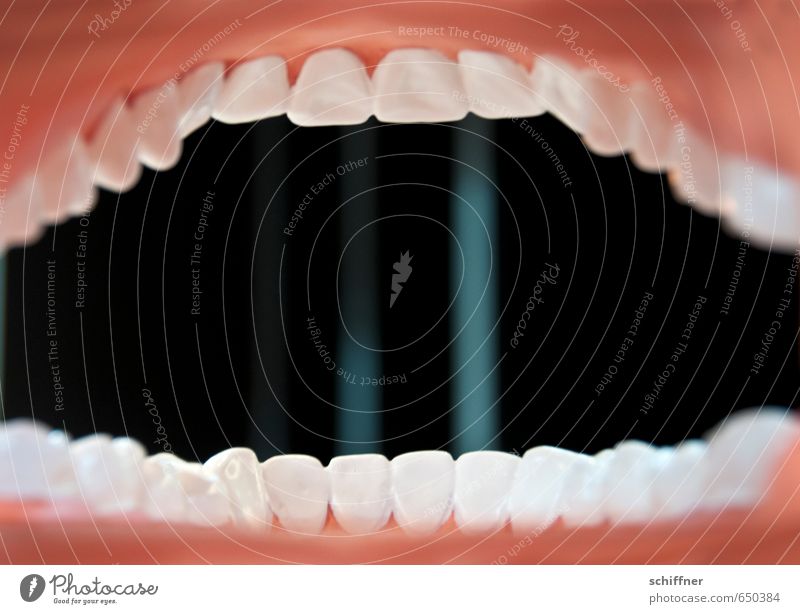 Aus dem Leben eines Zäpfchens Mund Zähne außergewöhnlich Gebiss Zähne zeigen Zähneknirschen Zahnarzt Zahnpflege Gesundheitswesen Rachen Zahnfleisch