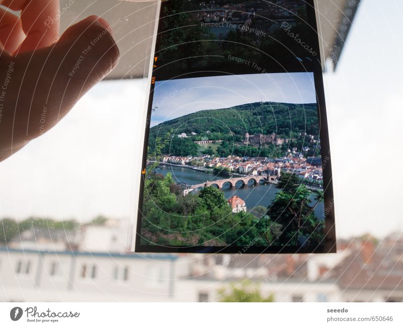 Heidelberg, Alte Brücke, Mittelformat Finger Fluss Neckar Altstadt Burg oder Schloss Fenster Dach Filmmaterial Dia Blick Nostalgie Ferne Schwerpunkt Stadt
