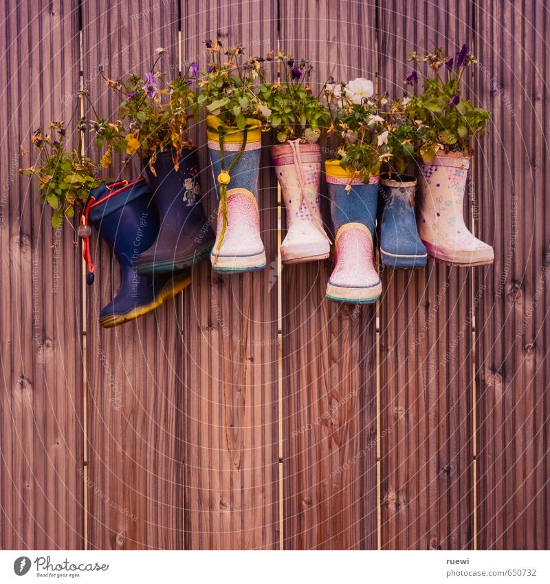 Gummistiefel als Blumenvasen an Holzwand Lifestyle Stil Design Freizeit & Hobby Handarbeit heimwerken Häusliches Leben Wohnung Dekoration & Verzierung