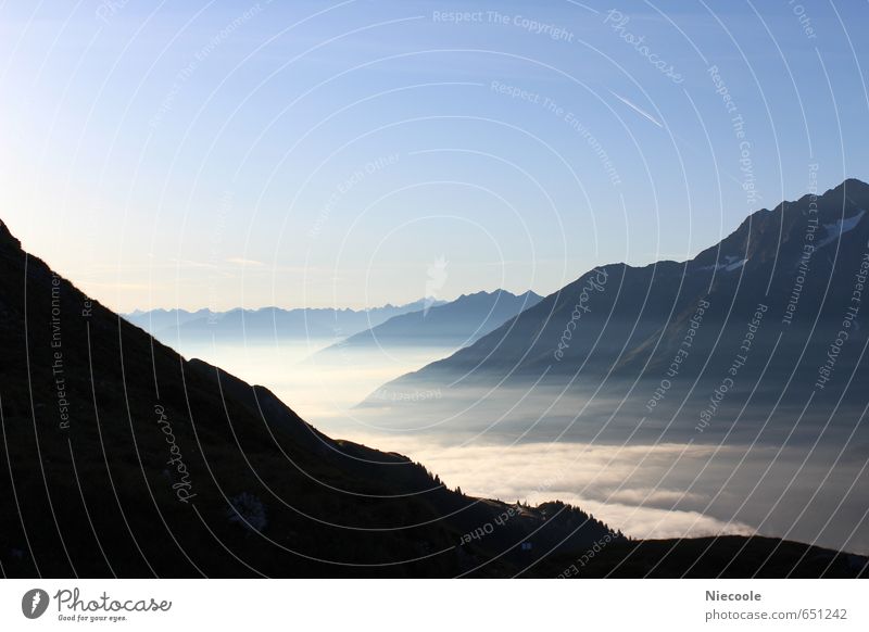 Alpenmorgen im Nebel Landschaft Erde Luft Himmel Horizont Sonne Sommer Schönes Wetter Berge u. Gebirge Stimmung Fröhlichkeit Zufriedenheit Lebensfreude Tatkraft