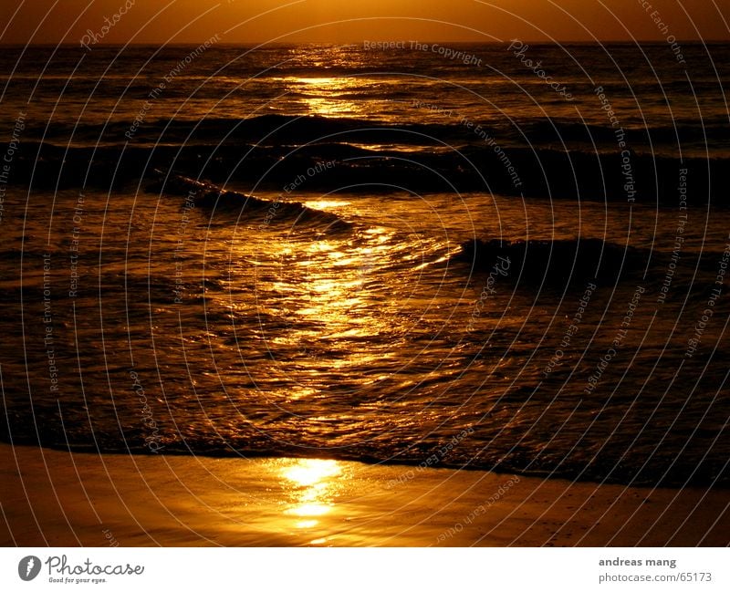 Flüssiges Gold Meer Wellen Strand Reflexion & Spiegelung ruhig schön beruhigend Ferne sea ocean Wasser water wave waves Sonne sun gold strasse straße road