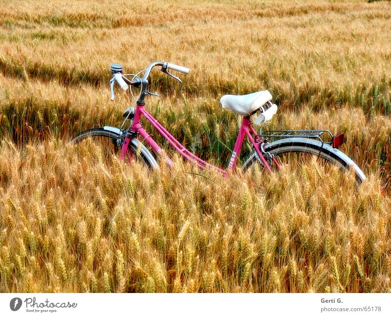 Ein Babe im Kornfeld Fahrrad rosa weiß Fahrradreifen Feld Reifenspuren Pause Erholung stoppen Fahrradtour Schneise Landwirtschaft Zerealien Weizen Weizenfeld