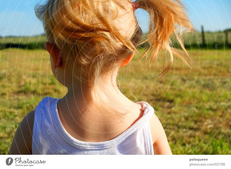 luna Mädchen Kind blond Zopf Sommer Wiese Spielen Wind Physik Nacken Kleinkind Sonne Wärme Rücken Kopf