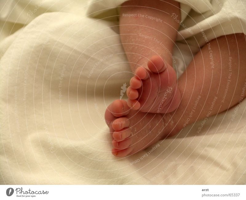 zu klein zum laufen Zehen Fußsohle Fußspur Baby Mädchen Erholung feet footprint Decke liegen Barfuß