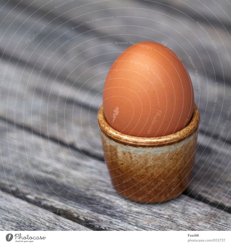 zum Frühstück ein Ei....? Lebensmittel Eiergerichte Eierschale Essen Bioprodukte Vegetarische Ernährung Fingerfood Becher Holz Steingut Eierbecher Hühnerei fest