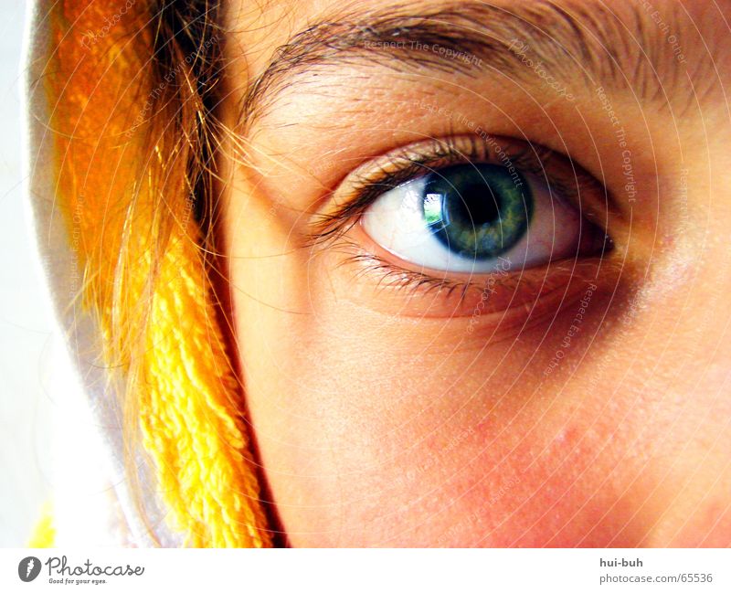 hartnäckig gelb weiß grün Blick Auge Kapuze augenbraun Nase fast hartnäclig Sicherheit Haare & Frisuren blau häärchen Gesichtsausdruck