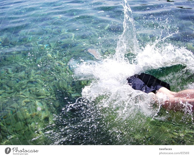 aquatically "im Wasser lebend" springen Meer Badehose Mann Kopfsprung tauchen spritzend sprung ins wasser alltag raus wasser rein Schwimmen & Baden
