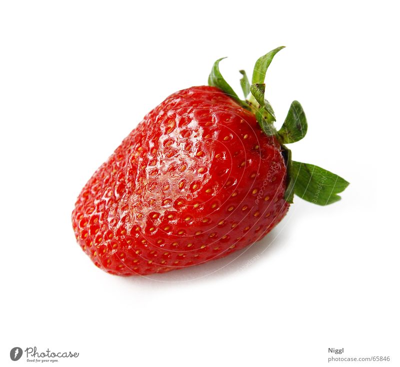 Erdbeere Lebensmittel Vitamin rot Gesundheit lecker süß Erdbeeren Frucht Ernährung Makroaufnahme niggl