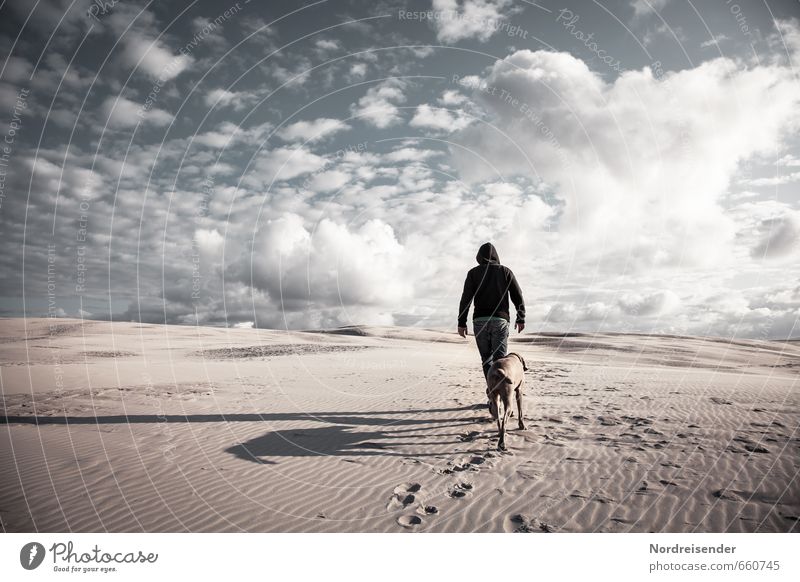 Immer weiter... Lifestyle Sinnesorgane Meditation Abenteuer Mensch Mann Erwachsene Landschaft Himmel Wolken Wüste Tier Hund Sand laufen Erfolg Tapferkeit