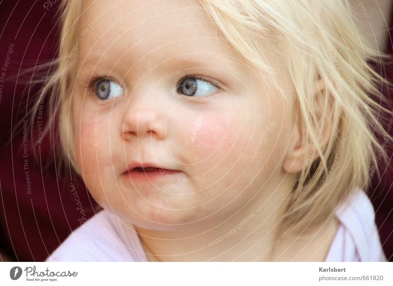 Frohträumchen Gesundheit Muttertag Kindererziehung Bildung Kindergarten lernen Mensch Kleinkind Mädchen Kindheit Gesicht 1 1-3 Jahre Natur blond Gefühle