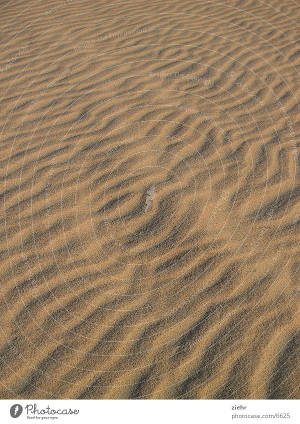 Sand heiß Wellen Wüste Sonne Strukturen & Formen Wind