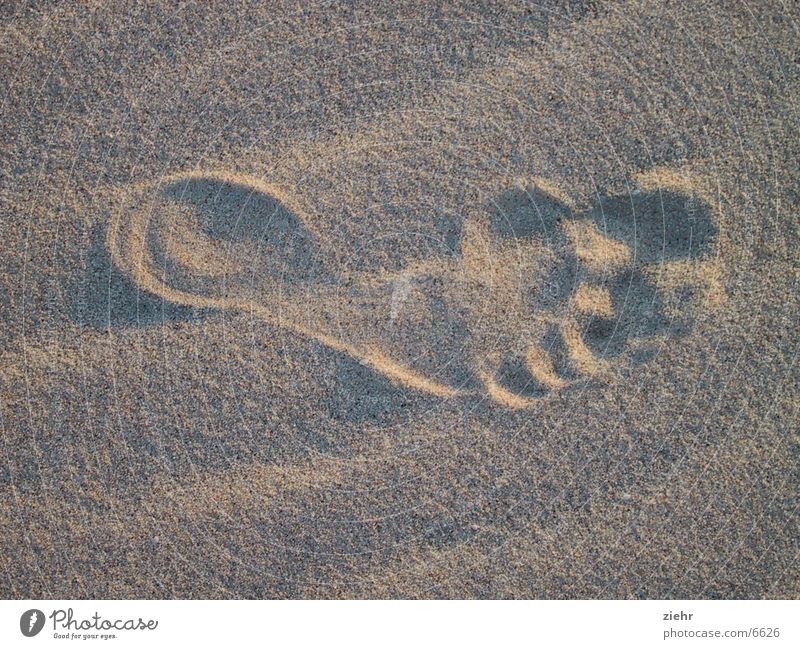 Fuss heiß Fußspur Sand Wüste Natur Sonne Wind Barfuß