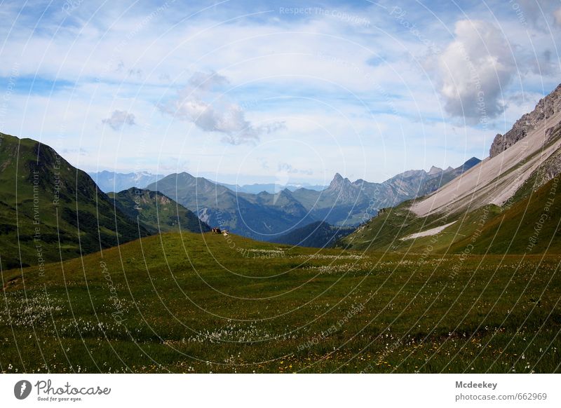 fernweh Umwelt Natur Landschaft Pflanze Tier Himmel Wolken Sommer Schönes Wetter Blume Gras Alpen Berge u. Gebirge authentisch fantastisch Unendlichkeit