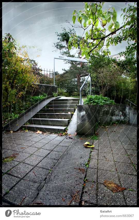 Die Treppe Umwelt Natur Himmel Wolken Herbst schlechtes Wetter Park Stadt Platz Tor Stein Bewegung gehen hocken Wachstum dreckig gruselig kalt grau grün