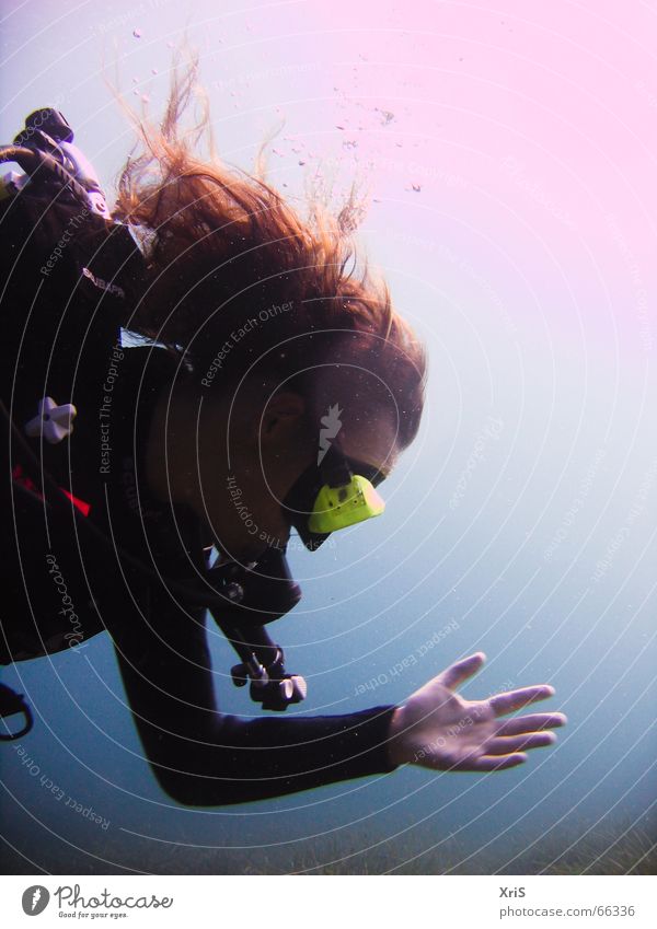 Mallorca - Party Unterwasser 2 tauchen Taucher Tauchgerät Luftblase Algen Hand diver diving Unterwasseraufnahme underwater buddy bubbles Schwimmhilfe fins blau