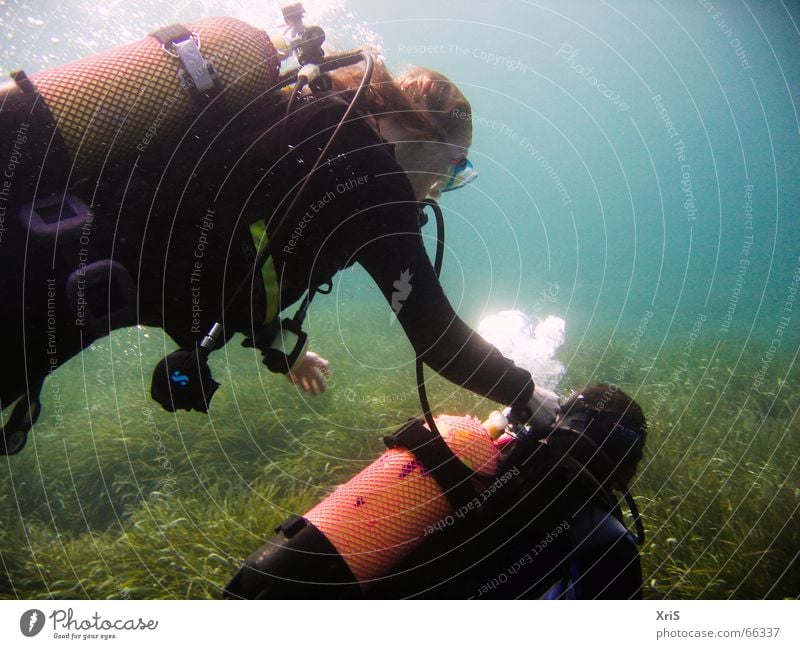Mallorca - Party Unterwasser 3 tauchen Taucher Tauchgerät Luftblase Algen grün diver diving Unterwasseraufnahme underwater buddy bubbles Schwimmhilfe fins blau