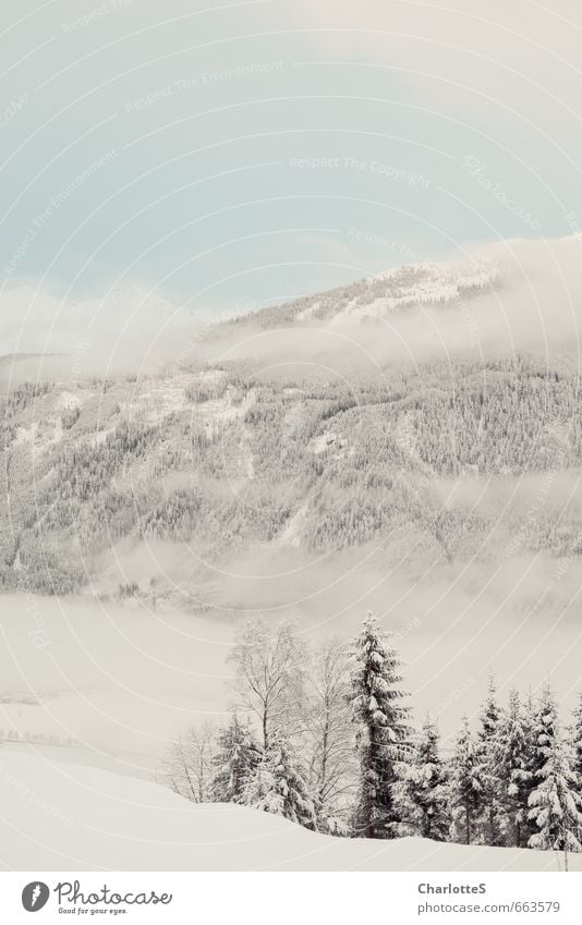 Nebelschwaden I Natur Landschaft Wassertropfen Wolken Winter Schönes Wetter Wind Schnee Wiese Wald Hügel Alpen Gipfel Schneebedeckte Gipfel Holz Wachstum