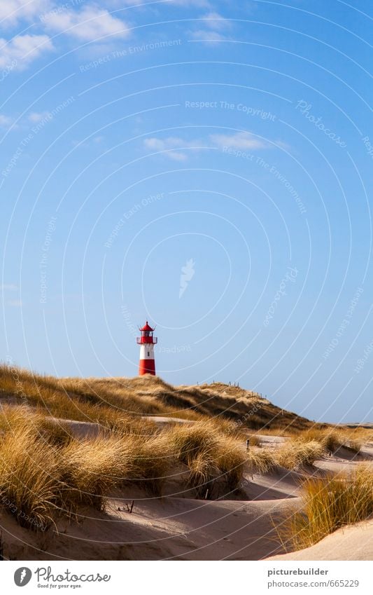 Leuchtturm Natur Landschaft Sand Luft Himmel Schönes Wetter Strandhafer Küste Menschenleer Schilder & Markierungen Ferien & Urlaub & Reisen Erholung Tourismus
